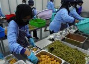 MBG Jangkau Puluhan Juta Penerima Manfaat untuk Pemerataan Gizi Nasional