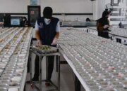 Kolaborasi Lintas Sektor Kunci Sukses Percepatan Program MBG