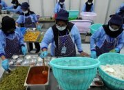 Program MBG Serap Produk Petani dan Peternak Dorong Pemulihan Ekonomi Desa