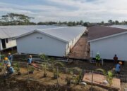 Pemerintah Percepat Pembangunan 15.000 Hunian Sementara di Wilayah Terdampak Bencana Sumatra