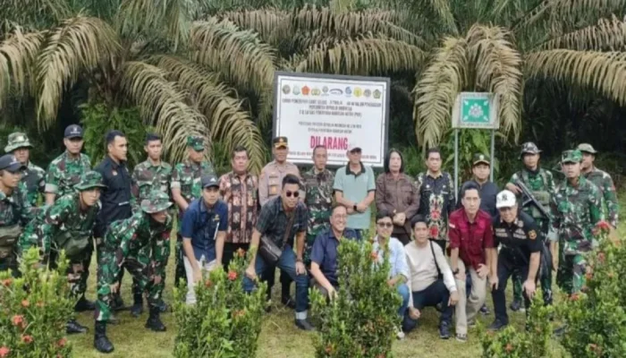 Presiden Prabowo Perketat Penertiban Kawasan Hutan Lewat Satgas PKH