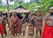 PSN Perkokoh Fondasi Kemandirian Pangan dan Kesejahteraan Papua Pegunungan