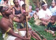 PSN Mempercepat Kemandirian Papua dalam Kerangka Pembangunan Nasional