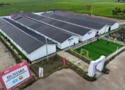 Memulihkan Listrik, Memulihkan Kehidupan Pascabencana Sumatra