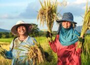 Indonesia Siap Jadi Lumbung Pangan Dunia: Komitmen dan Capaian Menuju Ketahanan Global