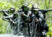 Tokoh Agama Papua Dukung Pemerintah Tindak Tegas OPM