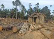 Pemanfaatan Kayu Hanyutan Percepat Pembangunan Hunian Sementara di Aceh dan Sumut