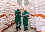 Pupuk Indonesia Amankan Bahan Baku Fosfat Global untuk Jaga Swasembada Pangan Berkelanjutan