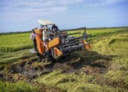 Swasembada Beras Tercapai Setahun, Prabowo Tegaskan Keberhasilan Reformasi Pertanian