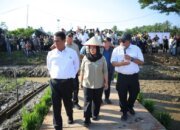 Skema Padat Karya dan Rehabilitasi Sawah Dipercepat untuk Pulihkan Penghidupan Pascabencana