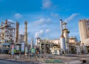 Pembangunan Pabrik Pupuk di Fakfak Dorong Produktivitas Petani Papua dan Ketahanan Pangan