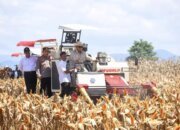 Capaian Swasembada Pangan 2025 Perkuat Kedaulatan Ekonomi pada Era Pemerintahan Prabowo Gibran