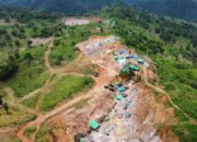 Selamatkan Hutan, Presiden Tertibkan Lahan Sawit dan Tambang via Satgas PKH