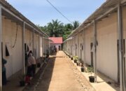 Huntara dan Huntap Dikebut, Korban Bencana Sumatera Ditargetkan Pulih Sebelum Ramadhan