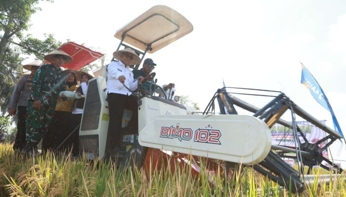 Teknologi Pertanian Berkelanjutan Dukung Penguatan Swasembada Pangan