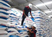 Deregulasi Pupuk Berbuah Manis, Swasembada Pangan Multi Komoditas Kian Kokoh