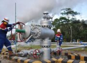 Menjaga Ketahanan Energi di Papua melalui Penguatan Sektor Hulu Migas