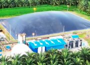 Hilirisasi Mineral Dorong Indonesia Naik Kelas di Rantai Global