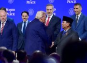 Board of Peace Tegaskan Langkah Indonesia untuk Kemerdekaan Palestina