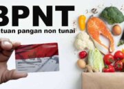 BPNT dan Ketahanan Rumah Tangga di Bulan Ramadan
 
