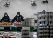 MBG Pacu Produksi dan Distribusi Pangan, Swasembada Kian Menguat