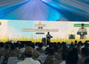 Pemerintah Optimistis Serapan Gabah 2026 Tembus 4 Juta Ton, Perkuat Swasembada Pangan Berkelanjutan