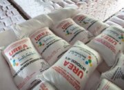 Swasembada Pangan dan Pupuk Terjangkau Jadi Prioritas Pemerintah