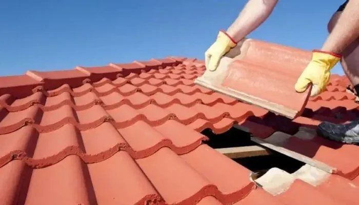 Program Gentengisasi dari Pemerintah Sentuh Ekonomi Desa