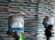 Pemerintah Kunci Alokasi Pupuk Subsidi demi Swasembada Pangan