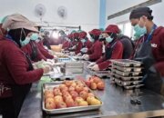 Higienitas Diperketat, Distribusi MBG Dilarang Gunakan Kantong Plastik Sederhana