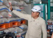 Produksi Surplus, Indonesia Siap Ekspor Beras