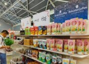 UMKM Bangkit, Bukti Nyata Kebijakan Ekonomi Pemerintah Tepat Sasaran