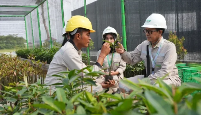 Triple Helix Pertanian: Hilirisasi Hasil Sinergi Pemerintah, Akademisi, dan Industri
 
 