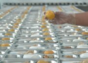 Temuan Bahan Pangan Tak Layak, Pemerintah Ambil Langkah Tegas Tutup SPPG