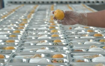 Temuan Bahan Pangan Tak Layak, Pemerintah Ambil Langkah Tegas Tutup SPPG