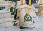 Pemerintah Percepat Penyaluran Bantuan Pangan di Tengah Tekanan Global