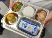 MBG dalam Perspektif Pembangunan SDM dan Ekonomi Desa Berkelanjutan