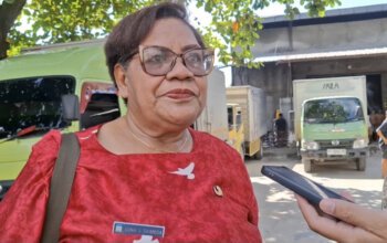 Sinergi Nasional Dorong PSN Papua sebagai Pilar Ekonomi Baru