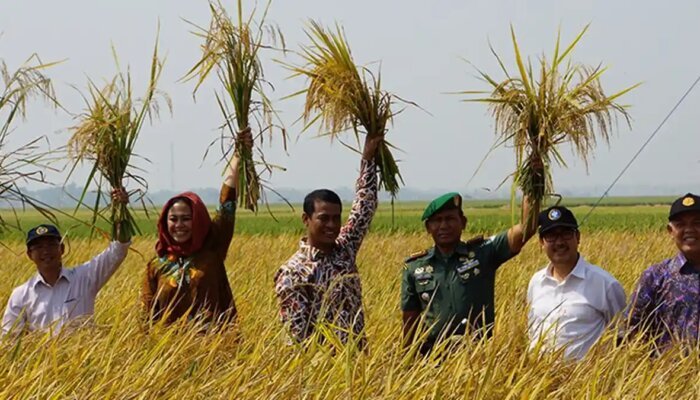 Ketahanan Pangan Indonesia Menguat di Tengah Tekanan Global