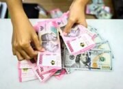 Fundamental Ekonomi Indonesia Menjadi Penopang Stabilitas Rupiah