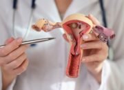 Kesehatan Perempuan Jadi Prioritas Pembangunan Manusia Berkelanjutan