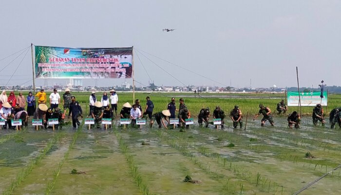 Gerakan Tanam Serentak dalam Skala Nasional untuk Ketahanan Pangan