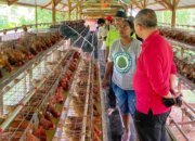 Tokoh Adat Papua Apresiasi Bantuan Pemerintah untuk Ekonomi Warga