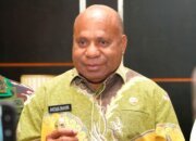 Program Ketahanan Pangan Papua Dorong Kemandirian Ekonomi Bagi Petani Lokal