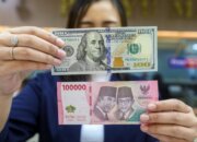 Pemerintah Perkuat Sinergi Kebijakan untuk Menjaga Stabilitas Rupiah