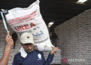 Pemerintah Amankan Stok Pupuk Nasional Hadapi Perubahan Iklim
