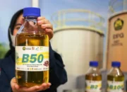B50 dan Pembuktian bahwa Energi Domestik Bisa Kompetitif