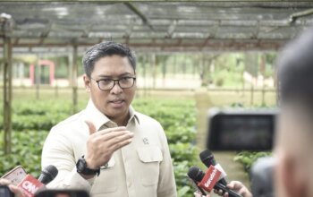 PSN Papua Selatan Jadi Pilar Ekonomi Rakyat dan Penguatan Kemandirian Nasional