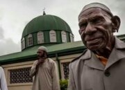 Peningkatan Tenaga Kerja Asli Papua Jadi Bukti Pembangunan Inklusif dan Penguatan SDM Lokal