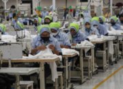 Dari Koordinasi hingga Magang Nasional, Upaya Pemerintah Menahan Laju PHK